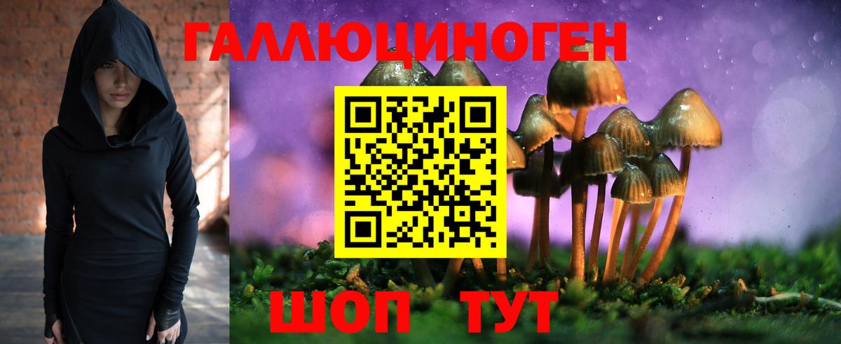 Псилоцибиновые грибы прущие грибы Муравленко