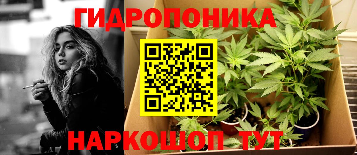 Бошки марихуана планчик  Бошки марихуана OG Kush  Конопля SATIVA & INDICA  Муравленко  МАРИХУАНА марихуана  Вход с VPN 